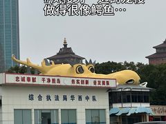 -华西村
