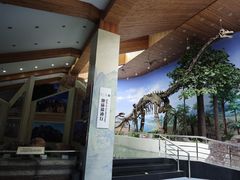 -延庆地质公园博物馆