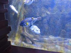 -太平洋海底世界