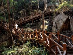 -大岭沟猕猴桃谷风景区