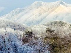 -光雾山旅游景区