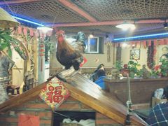 -山里屯铁锅炖(哈尔滨中央大街店)