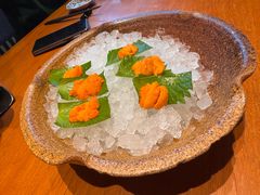 -月龍吟(朝龙汇店)
