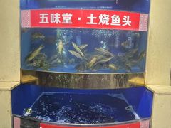-五味堂·江浙土菜(月河特色店)