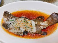 -頂好酒家·经典粤菜(海信广场店)