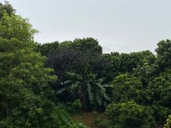 -增城图书馆(荔景大道辅路店)