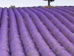 -风波庄(罍街分舵)