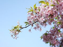 -上海辰山植物园