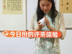 -诗宇时光茶艺书法古琴培训