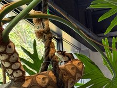 -J Create城市露营咖啡·简餐·宠物(上海动物园店)