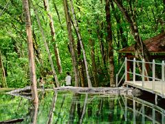 -叠溪松坪沟景区