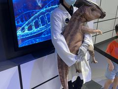 -侏罗纪世界电影特展(广州站)