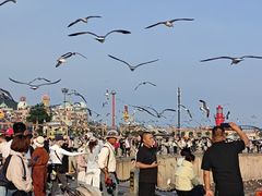 -星海广场
