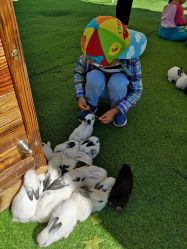 -萌宠亲子动物乐园(槐房万达店)