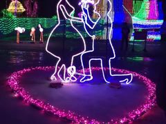 -广东茂名森林公园