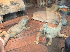 -黔灵山公园