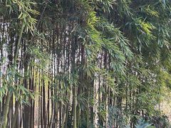 -汇龙潭