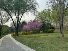 -北坞公园