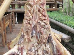 -龙潭生态旅游度假区