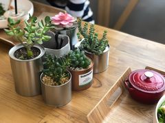 -Green Option(官舍店)
