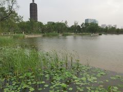 -西海子公园