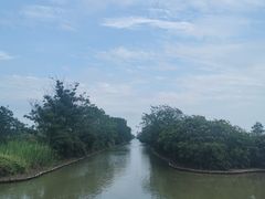 -大湾区中央湿地公园