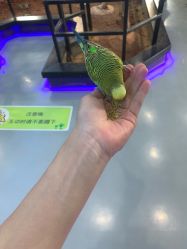-未来动物城动物主题公园(大悦城店)