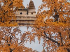 -北京石刻艺术博物馆(五塔寺)