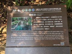 -蝴蝶泉公园