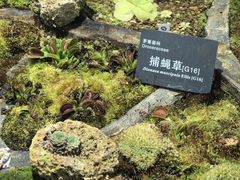 -国家植物园南园