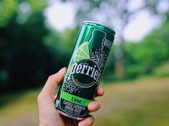 -吴淞炮台湾湿地森林公园烧烤区