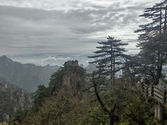 -黄山风景区