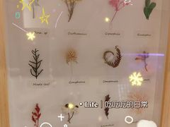 -宫七SPA·高端Massage(浦东大道店)