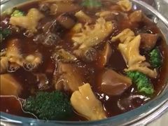 -佛山顺德香云纱园林酒店(清晖园店)