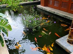 -三亚亚龙湾五号度假别墅酒店