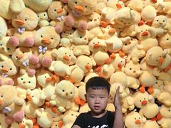 -萌宠奇缘