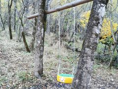 -叠溪松坪沟景区