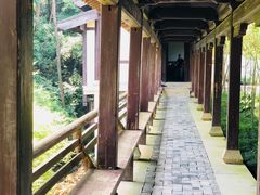 -梦姑塘文化公园