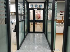 -瑞派雷欧宠物医院·24h夜诊·心脏骨科牙科·全科重症转诊中心(无影山店)