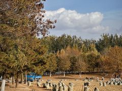 -北京奥林匹克公园
