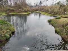 -桤木河湿地公园