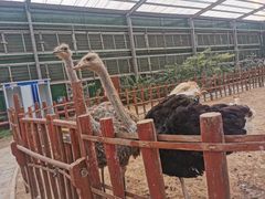-呀路古热带植物园