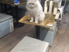-小时光咖啡馆(开森度假森林店)