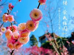 -无锡梅园公园