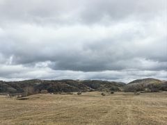 -御道口草原森林风景区