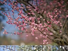 -常德桃花源景区