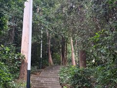 -水濂山森林公园