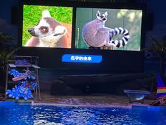 -海合安武汉极地海洋公园