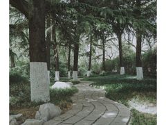 -趵突泉景区