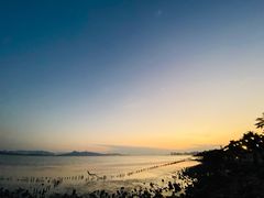-深圳湾公园(南山区)
